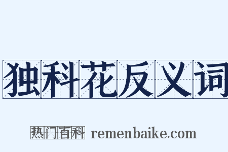 独科花反义词是什么意思的图片